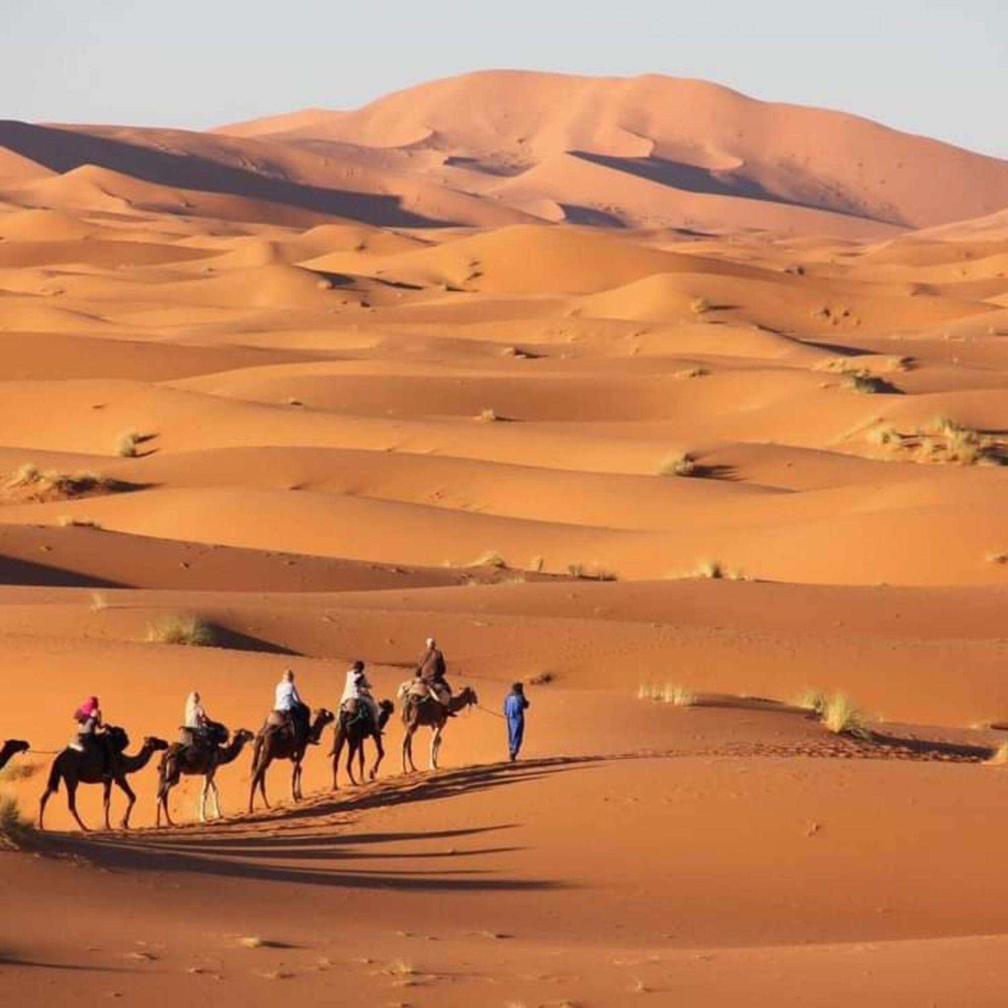 Erg Chebbi Romantic Desert Camp Мерзуга Экстерьер фото